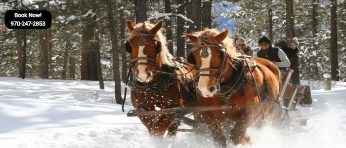 MainSlider6-1119x475